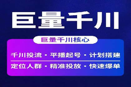 竞价代运营助力品牌崛起案例
